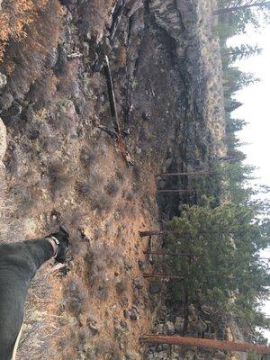 Doggie sees the trench of the lava hole