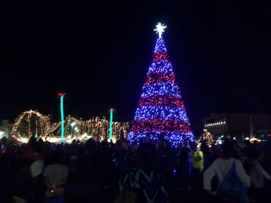 Light Up Ocala