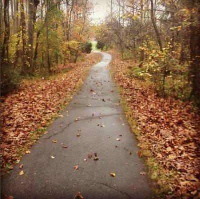 Walking trail fall