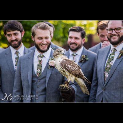 A groom, some groomsmen, and a hawk at a wedding in Murphy, NC...