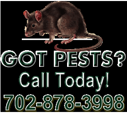 Las Vegas Pest Control