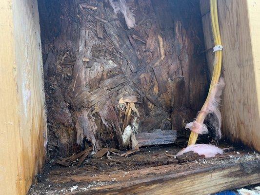 Hole in the OSB from water damage and rotting wood that was covered up by the builder.