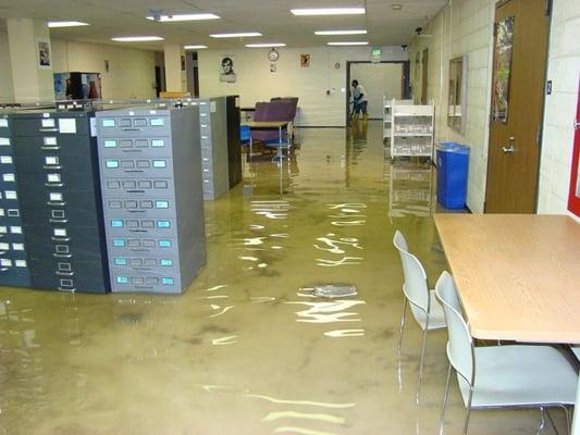 Not properly addressing water damage can result in the growth of mold. Our company can help detect and resolve these issues.