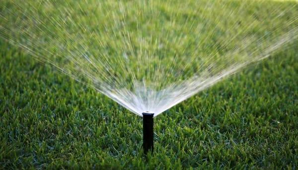 Nature's Helper specializes in offering water-efficient solutions to help our customers keep their lawn and garden beautiful.