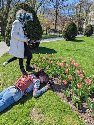 Students at work in Boston Common.