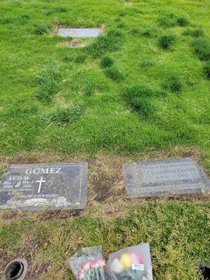 Legacy Stone Restoration did an amazing job cleaning my loved ones headstones and resting area. I definitely recommend their services.