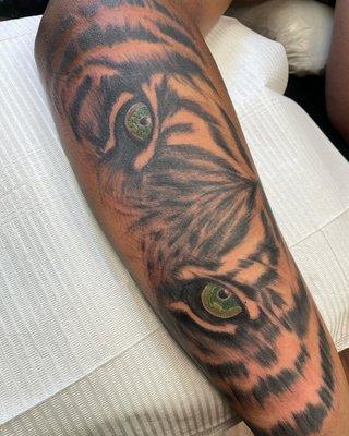 Tiger eyes