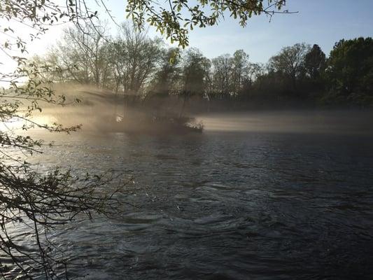 The island in the morning fog