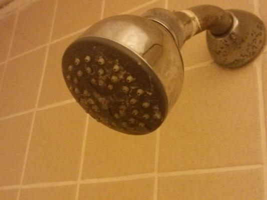 yeah... I don't think I will be taking a shower tonight.