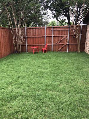 Brokers Quality Grass