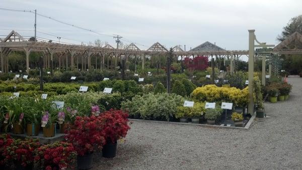 Beautiful Garden Center at A. J. Tomasi Nurseries, Inc.