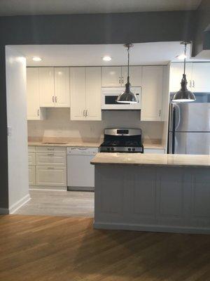 Kitchen Remodel