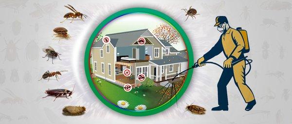 Pest are hidden so call so we can rid your house of unwanted pests your home!!!