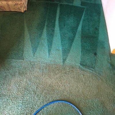 Carpet color restoration