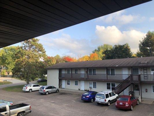 Pretty fall trees behind apartment building!