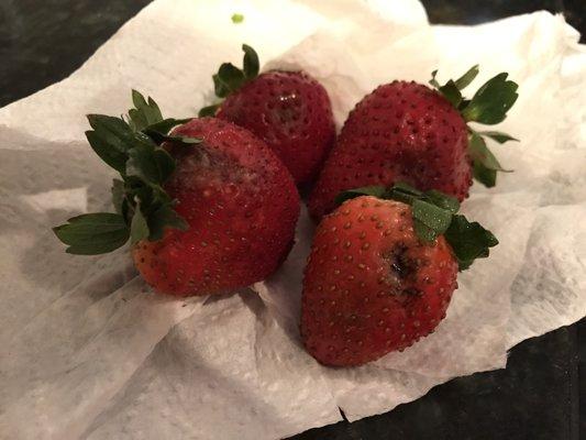 Strawberries after about 36 hours. I had already thrown away the really bad ones before I thought to take a pic.