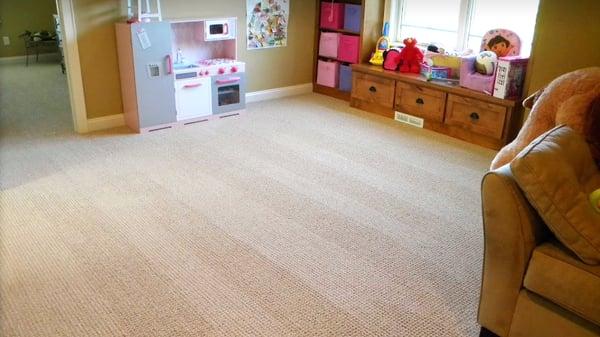 Carpet Cleaning