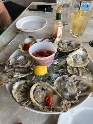 Special: Oysters on the half shell