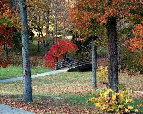 Walking Trails