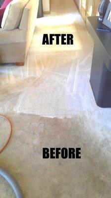 Carpet & Upholstery Cleaning