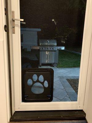 High Quality Dog Door! Bonus that my pet can see as they are coming and going!