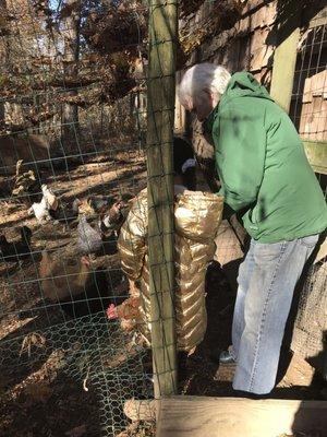 Spending time with the chickens