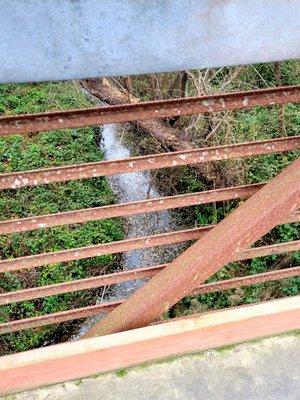 There is a creek under the foot bridge on our way to the side entrance of the park