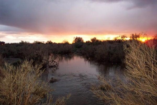 Water in the Creek at sunset