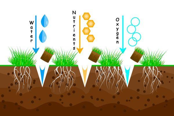 Core Aerator Benefits