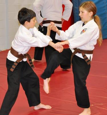 Pat Caputo's American Karate Studios