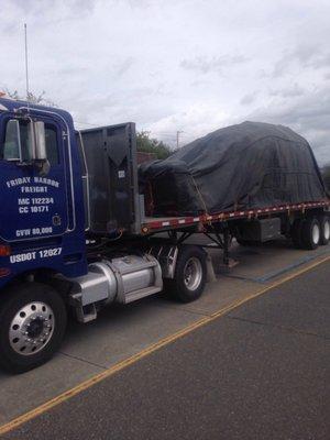 Big trees under that black tarp