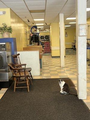 Central Street Laundromat