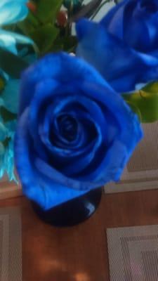 Blue Rose Cleaning Services