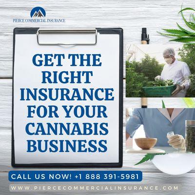 Cannabis insurance California & Montana