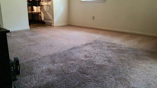 Carpet restoration cleaning.