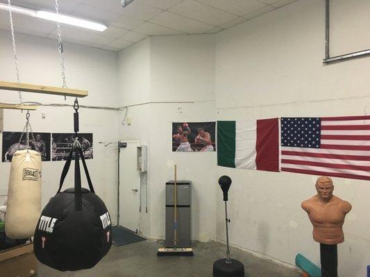 Florida Boxing Training