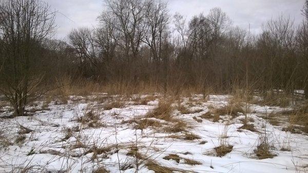 no plans to develop this natural prairie lot