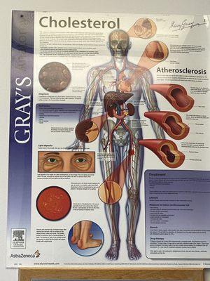 Very educational visits when I have to bring the elderly. Who knew being a foodie could lead to diabetes and foot issues?