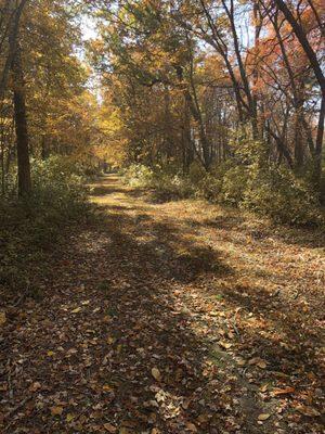 Long Island in the fall..what's better?