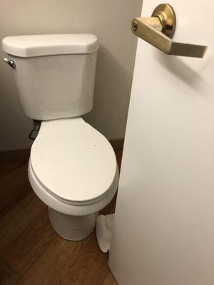 You have to straddle toilet or squeeze between it and counter to shut door.