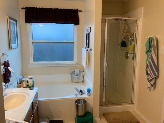 Bathroom Remodel (Before)