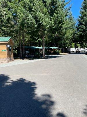 Cabins among the trees.