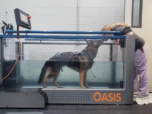 Under Water Treadmill - Rehabilitation