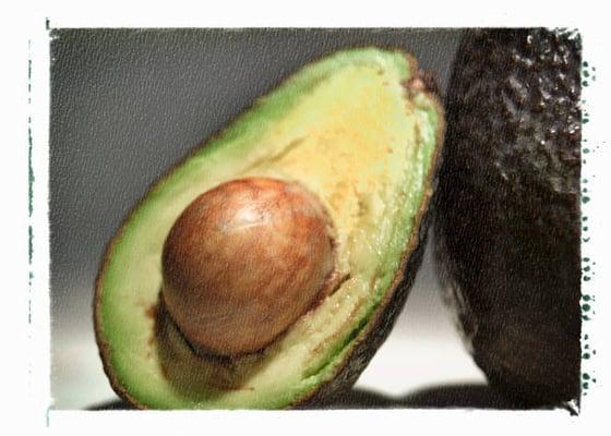 photo of AvoCado T.