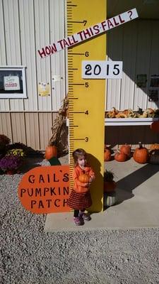 Measure your little pumpkin.