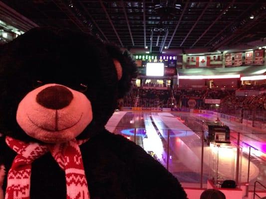 Teddy Bear Toss Night