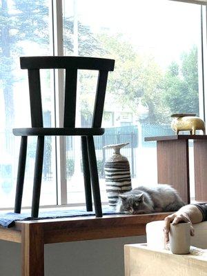 Nord chair by Summer Studio hanging out with Misty kitty in the Fairfax window.