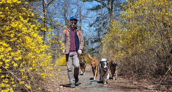 NYC Doggies hiker Colin