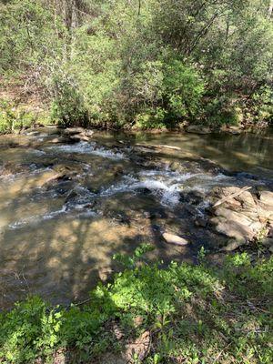 Creek Cide Cabin Rentals