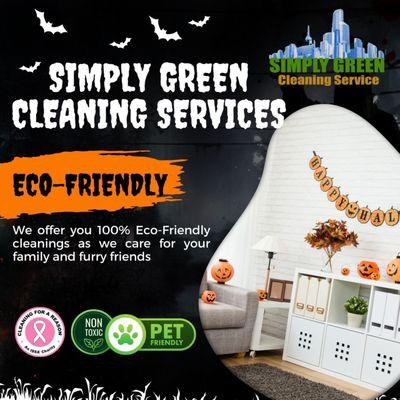 Eco-Friendly Cleaning Service